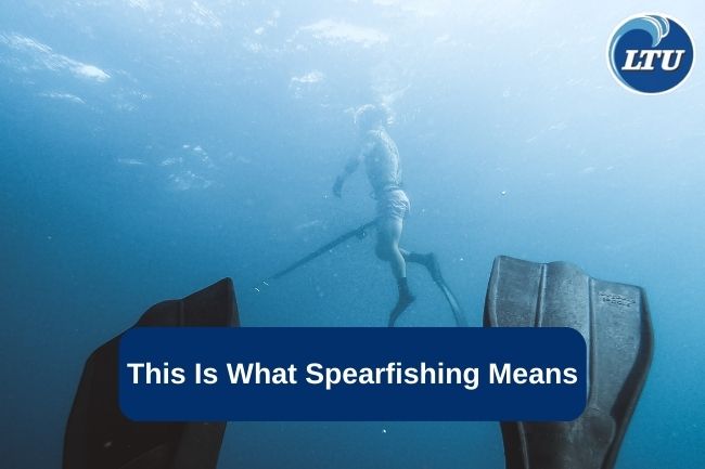 This Is What Spearfishing Means